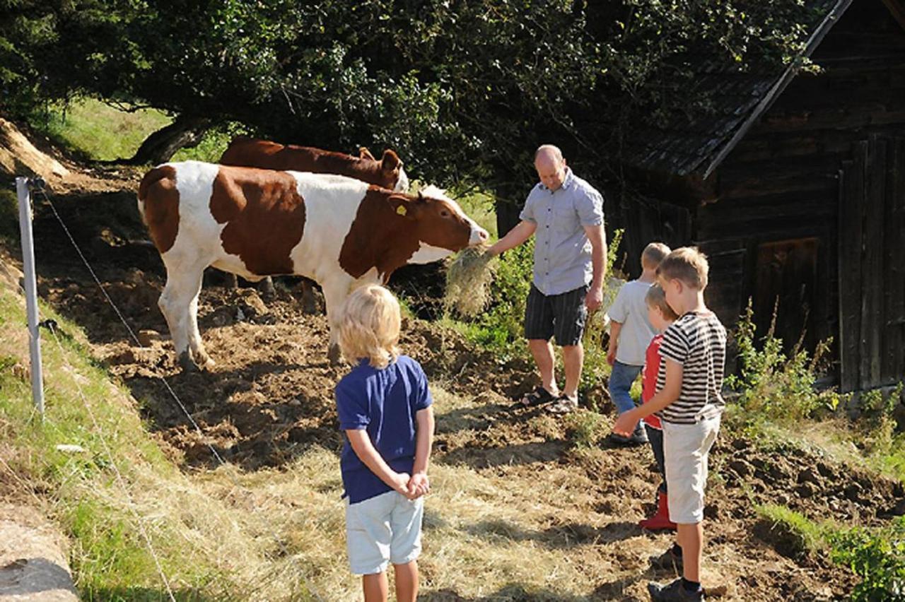 Exenbacher Hof - Pension Arnbruck Exteriör bild