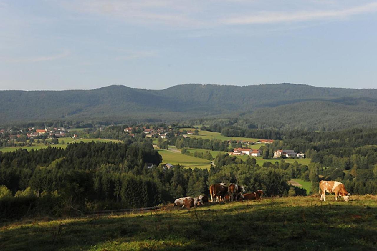 Exenbacher Hof - Pension Arnbruck Exteriör bild