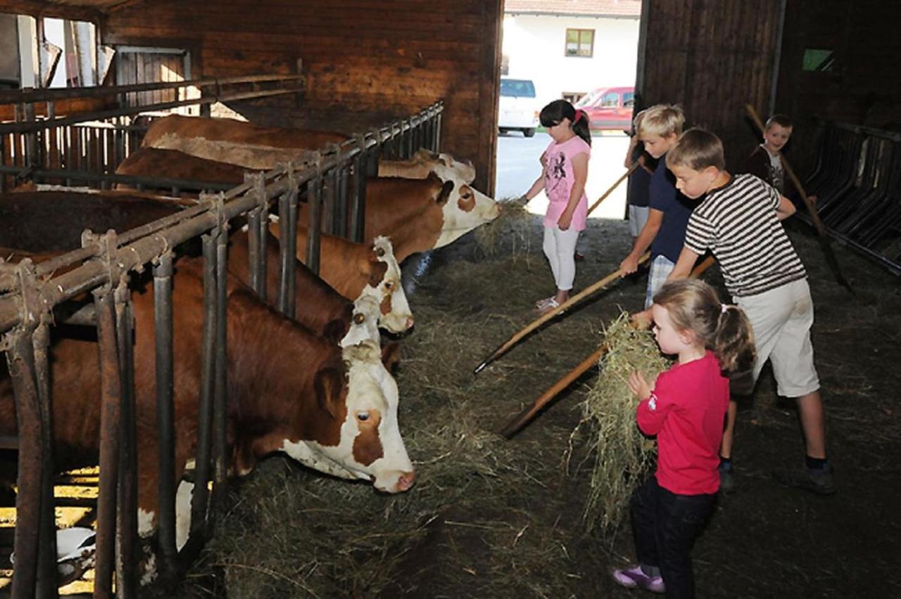 Exenbacher Hof - Pension Arnbruck Exteriör bild