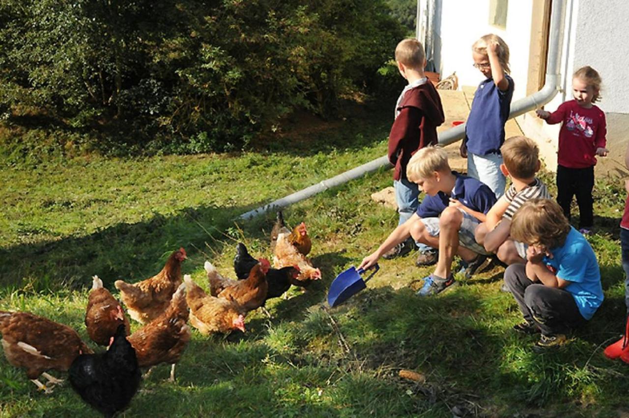 Exenbacher Hof - Pension Arnbruck Exteriör bild